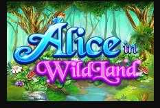 Alice_in_WildLand