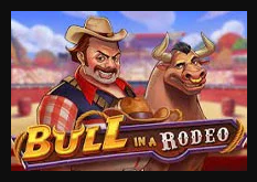 Bull_in_a_Rodeo