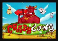 Crazy_Cows