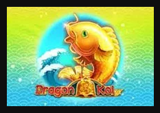 Dragon_Koi