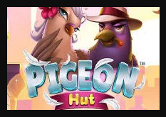 Pigeon_Hut