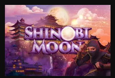 Shinobi_Moon