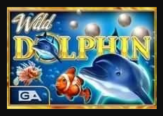 Wild_Dolphin
